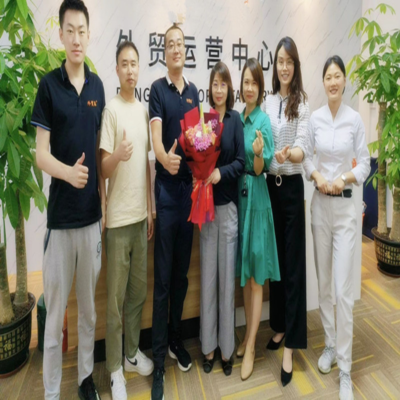 ألوان الرياح للشركاء في إدارة التجارة الخارجية في شركة Xinyang الجلدية